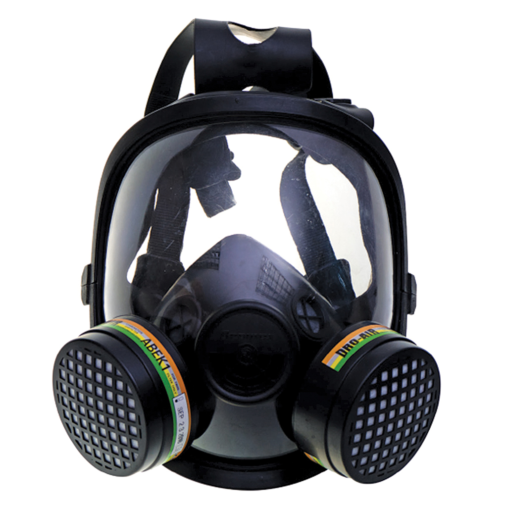 Picture of Full Face Mask Respirator DH-FFM