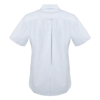 Picture of Women's Short Sleeve Oxford Shirts