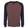 Picture of Limited Edition Raglan Colourblock Long Sleeve Tee Shirt
